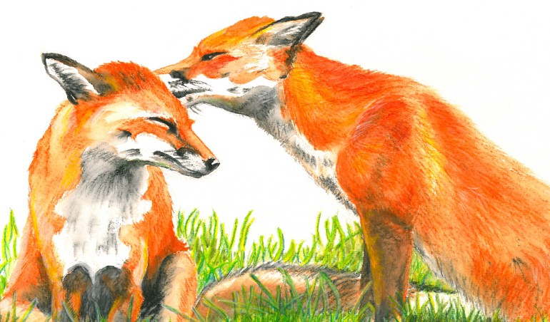 SKMBT_C552D15111221341